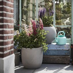 Tall Resin Planter by Cadix Capi Tutch Round