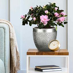 IDEALIST Lite Mesh Style Round Indoor Planter