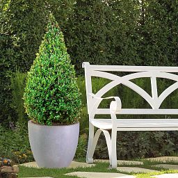 IDEALIST Lite Contemporary Light Concrete Egg Planter