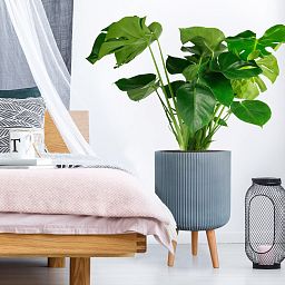 IDEALIST Lite Ribbed Cylinder Planter on Legs, Round Pot Plant Stand Indoor