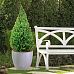 IDEALIST Lite Contemporary Light Concrete Egg Planter