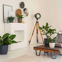 LECHUZA CLASSICO Color Round Poly Resin Self-watering Planter