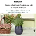 IDEALIST Lite Leaf Embossed Egg Planter