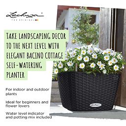 LECHUZA BACINO Cottage Square Poly Resin Self-watering Planter