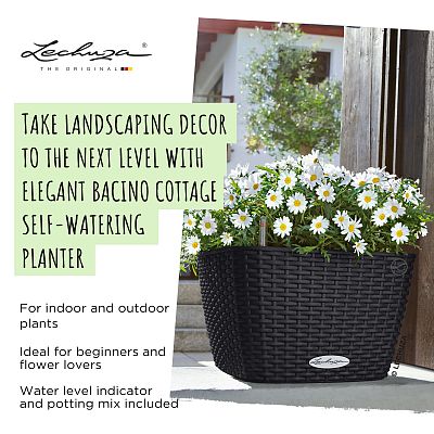 LECHUZA BACINO Cottage Square Poly Resin Self-watering Planter
