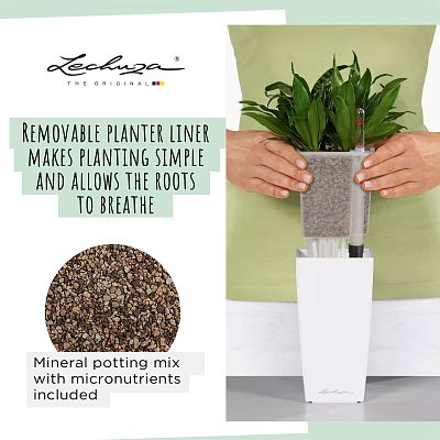 LECHUZA CUBI Square Poly Resin Indoor Self-watering Planter