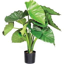 ALOCASIA CALIDORA Artificial Tree Plant
