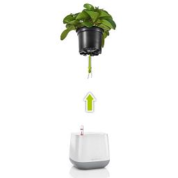 LECHUZA YULA Square Poly Resin Indoor Self-watering Planter