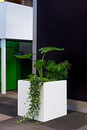 Square Fiberstone Planter by Idealist Premium JUMBO