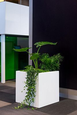 Square Fiberstone Planter by Idealist Premium JUMBO
