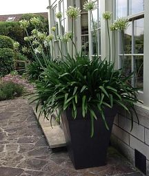 Geo Classic Fiberglass Square Tall Aluminium Planter Pot In/Out