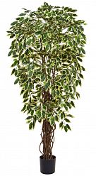 Ficus Liana Variegated Flame Retardant Artificial Tree Plant