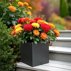 IDEALIST Lite Square Box Contemporary Light Concrete Planter