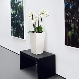 LECHUZA CUBICO Color Square Tall Poly Resin Self-watering Planter