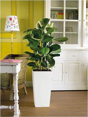 LECHUZA CUBICO Square Tall Poly Resin Self-watering Planter