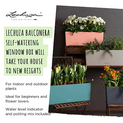 LECHUZA BALCONERA Color Trough Poly Resin Self-watering Planter