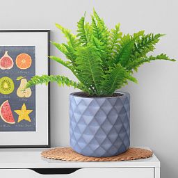 IDEALIST Lite Diamond Style Indoor Hanging Planter