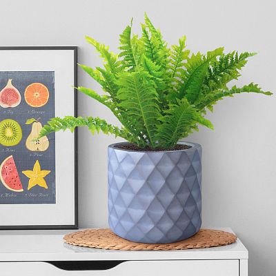 IDEALIST Lite Diamond Style Indoor Hanging Planter