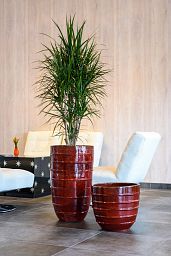 Ceramic Round Circular Glossy Planter Pot In/Out