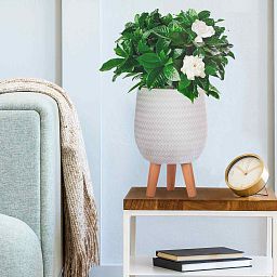 IDEALIST Lite Plaited Style Egg Planter on Legs, Round Pot Plant Stand Indoor