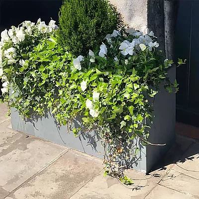 IDEALIST Lite Contemporary Light Concrete Trough Planter