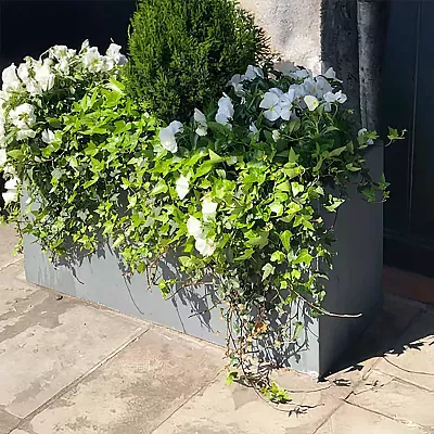 IDEALIST Lite Contemporary Light Concrete Trough Planter