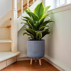 IDEALIST Lite Ribbed Cylinder Planter on Legs, Round Pot Plant Stand Indoor