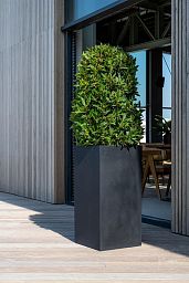 Tall Fiberstone Square Planter by Idealist Premium BOUVY