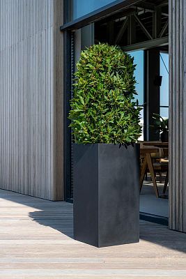 Tall Fiberstone Square Planter by Idealist Premium BOUVY