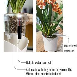 LECHUZA ORCHIDEA Round Poly Resin Indoor Self-watering Planter