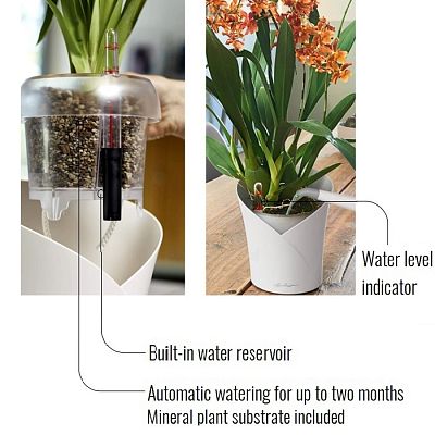 LECHUZA ORCHIDEA Round Poly Resin Indoor Self-watering Planter