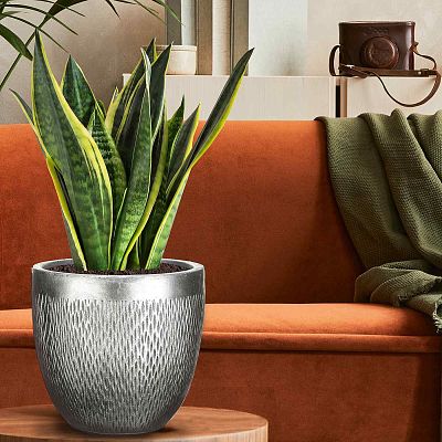 IDEALIST Lite Mesh Style Round Indoor Planter