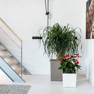 LECHUZA CUBE Square Poly Resin Planter Only