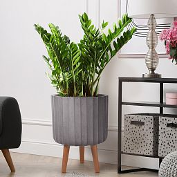 IDEALIST Lite Modern Ribbed Cylinder Planter on Legs, Round Pot Plant Stand Indoor