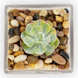 Plant Pot Toppers Stones Mixed River Pebbles
