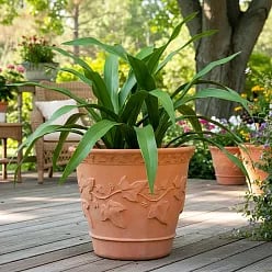 Ivy Fiberglass Round Terracotta Planter Pot In/Out