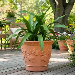 Ivy Fiberglass Round Terracotta Planter Pot In/Out