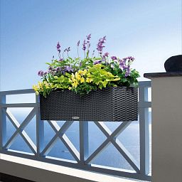 LECHUZA BALCONERA Cottage Trough Poly Resin Self-watering Planter