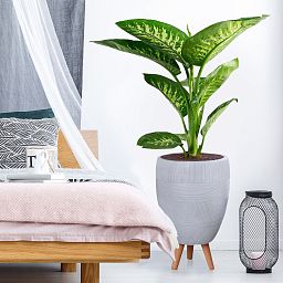 IDEALIST Lite Striped Egg Planter on Legs, Round Pot Plant Stand Indoor