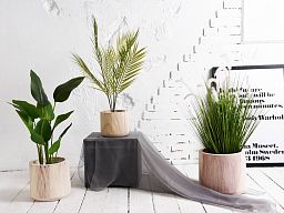 HORTICO CRAFT Wooden House Planter Round Indoor Plant Pot for House Plants with Waterproof Liner