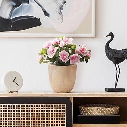 HORTICO RADIAL Wooden House Planter Round Indoor Plant Pot for House Plants with Waterproof Liner