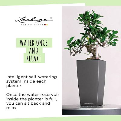LECHUZA CUBI Square Poly Resin Indoor Self-watering Planter