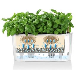 LECHUZA DELTA 10|DELTA 20 Poly Resin Indoor Self-watering Planter