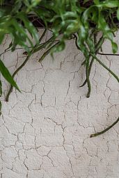Tall Fiberstone Square Planter by Idealist Premium BOUVY