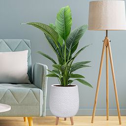 IDEALIST Lite Honeycomb Style Egg Planter on Legs, Round Pot Plant Stand Indoor