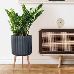 IDEALIST Lite Modern Ribbed Cylinder Planter on Legs, Round Pot Plant Stand Indoor