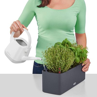 LECHUZA CUBE Color Triple Trough Poly Resin Self-watering Planter