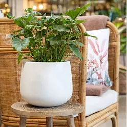 Fibrestone Matt Kevan Round Planter by Idealist Premium