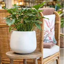 Fibrestone Matt Kevan Round Planter by Idealist Premium Fibrestone Matt Kevan Round Planter by Idealist Premium