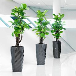 LECHUZA DIAMANTE Premium Glossy Round Tall Poly Resin Self-watering Planter